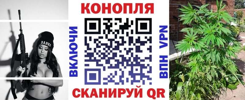 Галлюциногенные грибы Звенигово