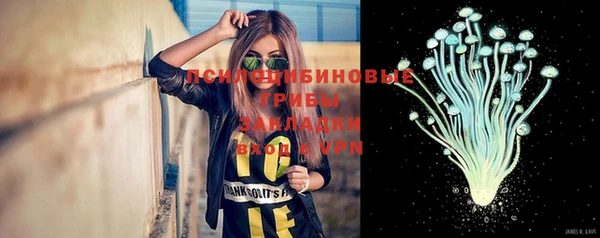 каннабис Аркадак
